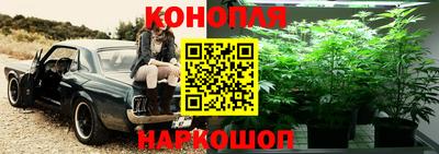 apvp Первоуральск