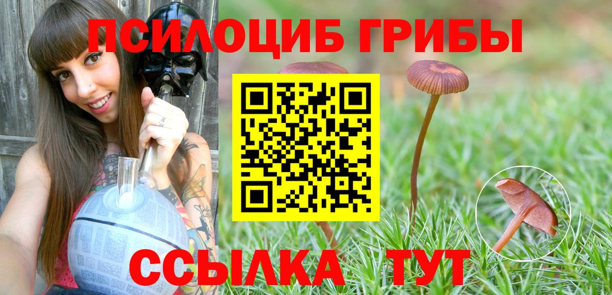 LSD-25 Пушкино